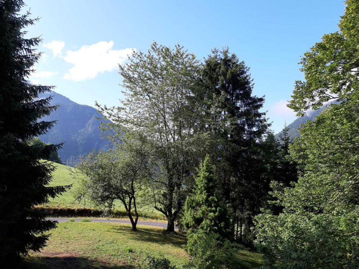 Chalet Tante Emma Vacheresse Esterno foto