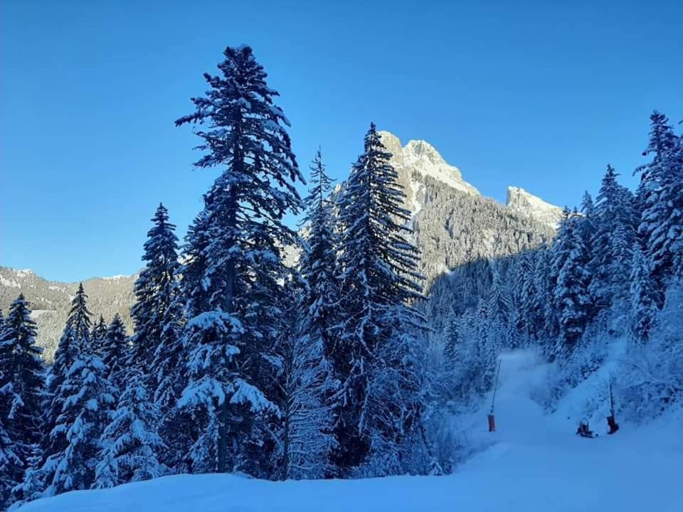 Chalet Tante Emma Vacheresse Esterno foto